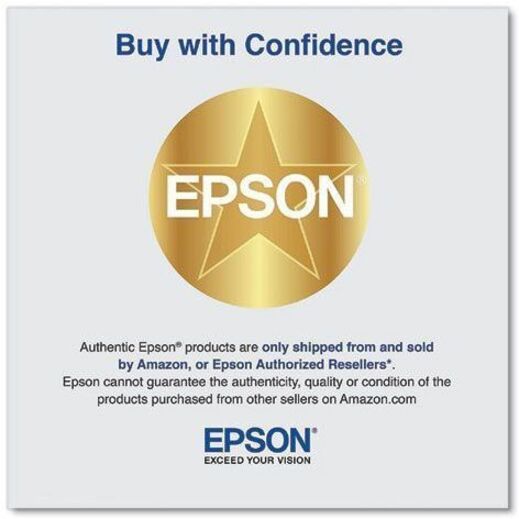 Epson Original Inkjet Ink Cartridge - Black Pack — T41N520