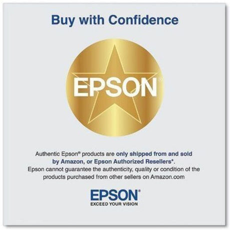 Epson Original Inkjet Ink Cartridge - Black Pack — T41N520