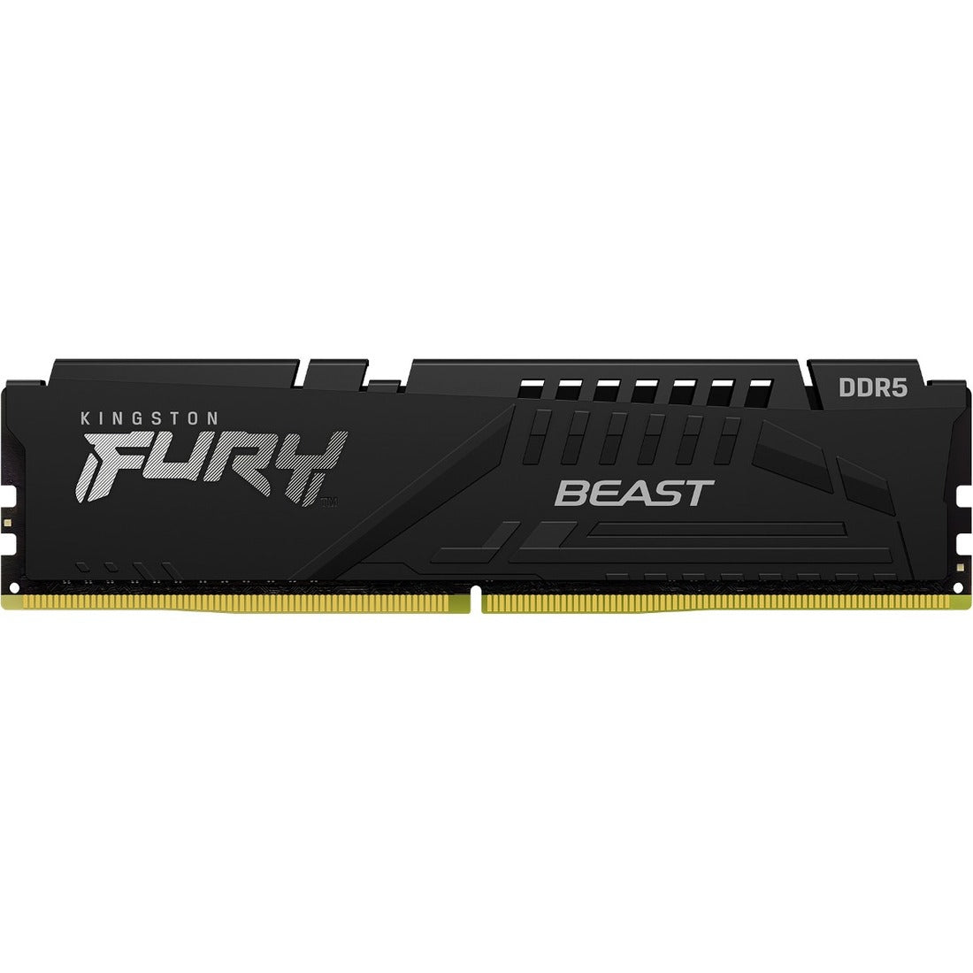 Kingston FURY Beast 16GB DDR5 SDRAM Memory Module — KF552C40BB-16