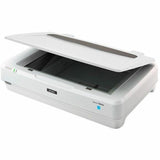 Epson Expression 13000XL Large Format Flatbed/Film Scanner - 2400 dpi Optical — B11B257201