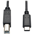 Eaton Tripp Lite Series USB-C to USB-B Cable - USB 2.0, (M/M), 6 ft. (1.83 m) — U040-006