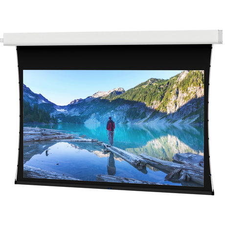 Da-Lite Tensioned Advantage Electrol 110" Electric Projection Screen — 29665LS