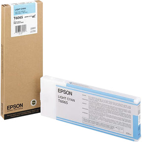 Epson Original Ink Cartridge — T606500