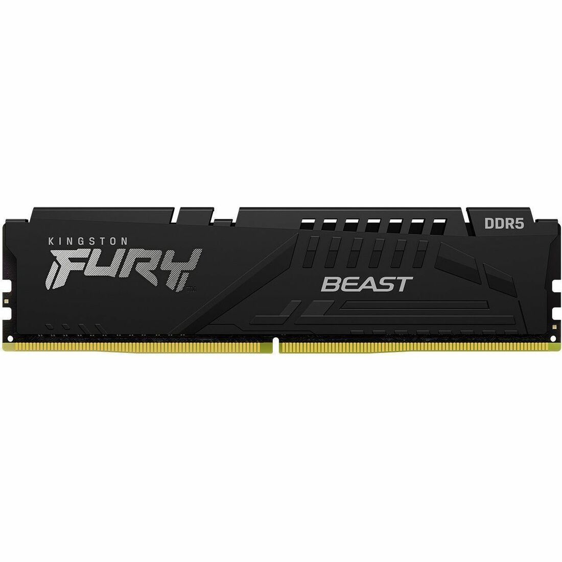 Kingston FURY Beast RAM Module — KF556C40BB-64