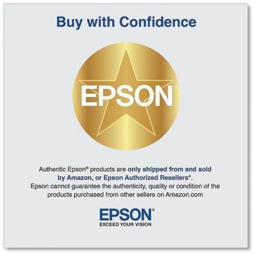 Epson UltraChrome PRO 770 Original Inkjet Ink Cartridge - Vivid Light Magenta Pack — T770620