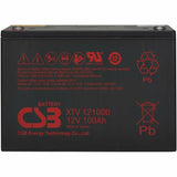 Eaton Tripp Lite Series External 12V DC 100AH Battery Module for 120V AC Extreme Temperature Network UPS, TAA — RBC12V100ET