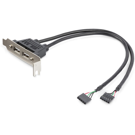 StarTech.com 2 Port USB A Female Low Profile Slot Plate Adapter — USBPLATELP