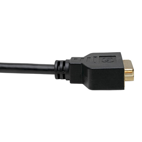 Eaton Tripp Lite Series DisplayPort to DVI Adapter Video Converter, Black (M/F), 1 ft. (0.31 m) — P134-001-GC