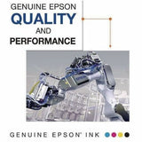 Epson Original Inkjet Ink Cartridge - Light Black Pack — T890720