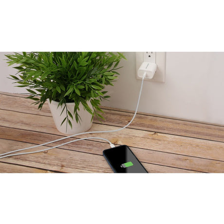 IOGEAR 20W USB-C Smartphone Charger — GPAWC20W