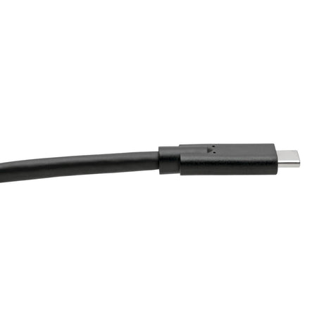 Eaton Tripp Lite Series USB-C Cable (M/M) - USB 3.2, Gen 1 (5 Gbps), 5A Rating, Thunderbolt 3 Compatible, 6 ft. (1.83 m) — U420-006-5A