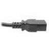 Eaton Tripp Lite Series Power Cord, C14 to C21 - Heavy-Duty, 15A, 250V, 14 AWG, 2 ft. (0.6 m), Black — P037-002